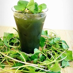 500+ Pennywort Seeds, Gotu Kola , Centella asiatica, Rau Ma seeds, Asian Vegies