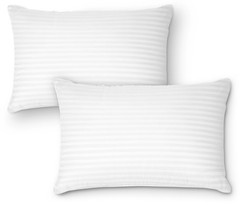 DreamNorth Premium Gel Pillow Loft, Plush Soft Bed Pillow 2 Pack, Standard Size