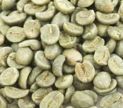 5 lb, Colombia Supremo Huila Green Unroasted Coffee Beans Five Pounds – Arabica