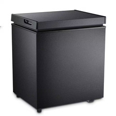 Garage Ready 20.67 In. 1.8 Cu. Ft. Manual Defrost Chest Freezer with Temperature
