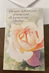 Sympathy Loss Of A Pet Dog Cat Animal Friend 5”x7.75″ Stockwell Greeting Card