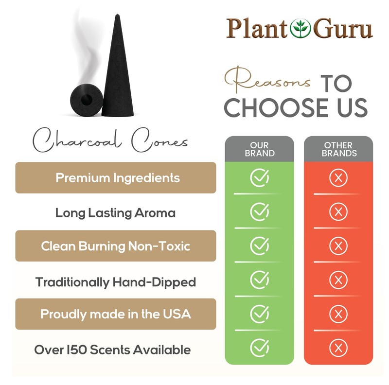 200 Jumbo Charcoal Incense Cones 2" BACKFLOW Bulk Waterfall Burner Holder Censer gallery