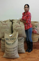 100% HAWAIIAN / KONA COFFEE BEANS MEDIUM ROASTED 2 / 12 POUNDS
