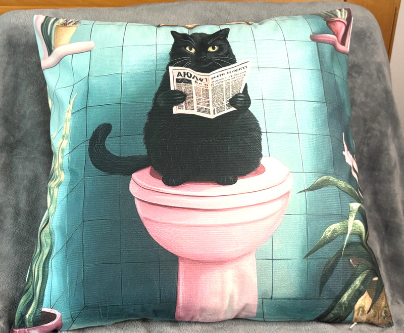 Curious Black Cat Reading Newspaper Pillow Cover – Whimsical Home Decor gallery