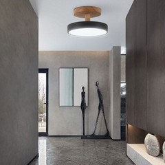 4.72 In Led Ceiling Light Adjustable Color & Brightness Ceiling Light Fixtures