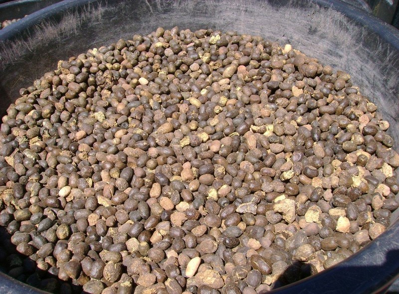 Organic Dried Sheep Manure, BULK Manure – 1 Pound of Fertilizer