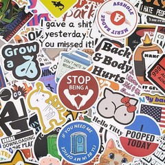 100 Pcs Sarcastic Adult Humor Stickers Pack Funny Meme Vinyl Decals Joke Lot