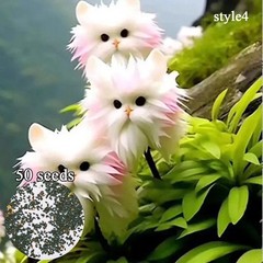 100pcs/Pack Rare Cat Face Orchid Flower Seeds Plant Bonsai Home Garden Decor US