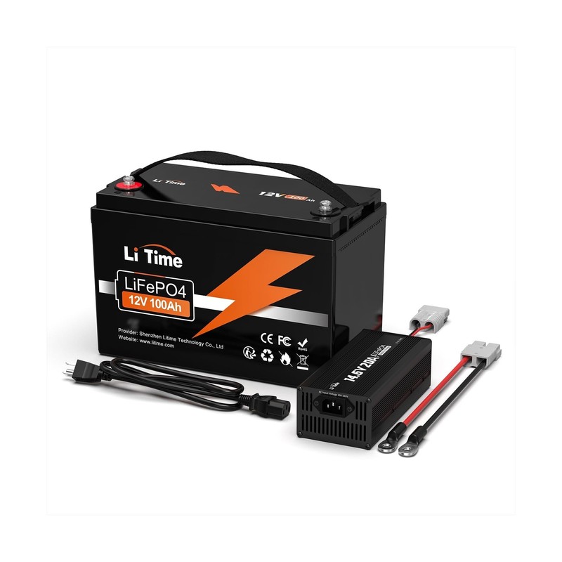 LiTime LiFePO4 Battery 12V 100Ah Built-in 100A BMS 4000-15000 Cycles for RV S...