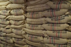 2 lb 5 lb 10 lb COLOMBIA EXCELSO FRESH ROASTED SINGLE ORIGIN COFFEE – ARABICA