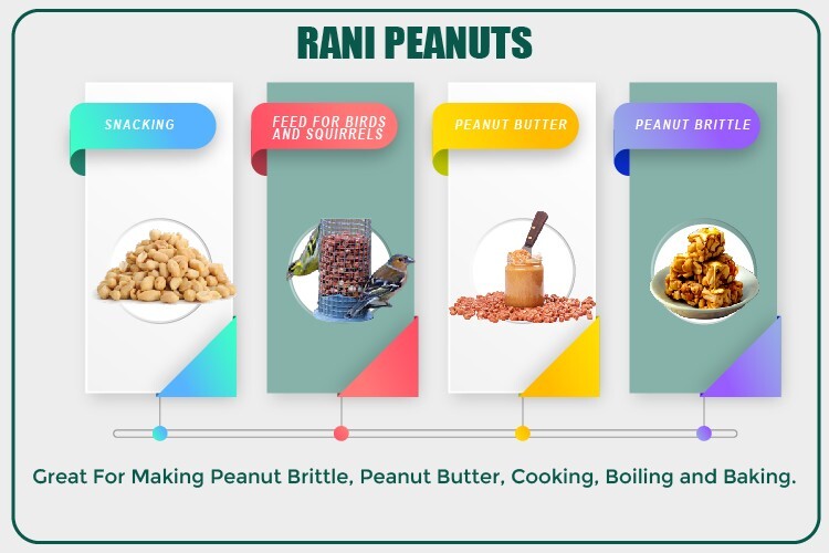Rani Peanuts, Raw Whole With Skin (uncooked, unsalted) 25lbs (400oz) 11.36kg gallery