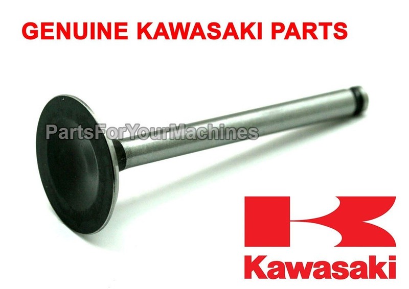 OEM INTAKE VALVE, KAWASAKI FH430V ,FH451V, FH500V, FH531V, FH541V,FH580V, 11D27
