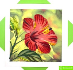 Hibiscus Flower Quilling Greeting Card – Unique Dedicated Handmade Art