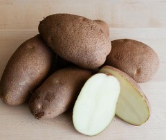 PRE-ORDER NOW! SHIPS APRIL 2026 – Russet Burbank Seed Potatoes Seeds