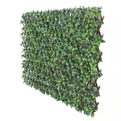 Gardenia 34 In. X 76 In. Expandable Trellis (2-Pack)