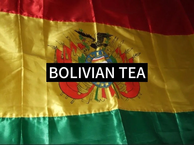 Mate De Coca Bolivian Tea WINDSOR BRAND 100 TEABAGS (VERY RARE)