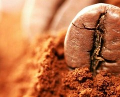 CENTRAL AMERICA COFFEE SAMPLE, COSTA RICA GUATEMALA EL SALVADOR MED ROAST 3LB