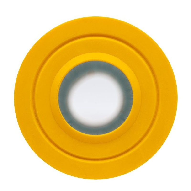 PJ25-IN-4 Replacement Filter Cartridge for Spa gallery