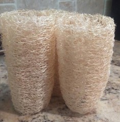 BULK PRICE FREE SHIPPING USA 100%Organic Natural Loofah Sponge Seeds Luffa Gourd