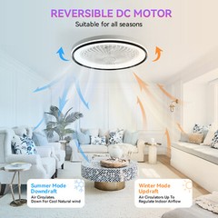 19IN Smart Bladeless Ceiling Fan with RGB Light Remote LED Voice/App Control US