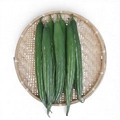 Snake Gourd seeds – Summer supper 10 Seeds