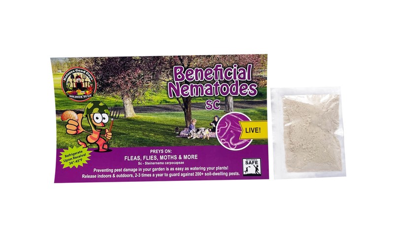 10 Million Beneficial Nematodes SC – Targets Fleas, Flies, Moths, & More