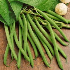 BULK Provider Green Bean Seeds | Non GMO Haricot Vert Beans Vegetable Seed 2024