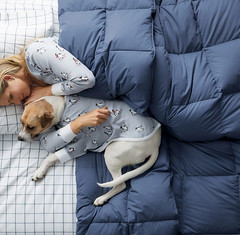 [FLASH SALE] The Company Store LaCrosse Premium Down Light Warmth Comforter