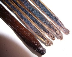 Gourmet Vanilla Bean Paste for Baking & Cooking Madagascar Bourbon w/ Real Seeds