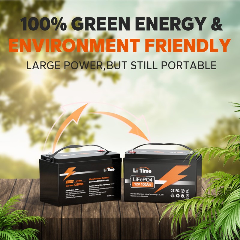 Litime 12V 100Ah LiFePO4 Lithium Battery 100A BMS 4000-15000 Cycles for RV Solar gallery