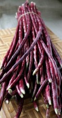 15+ Purple-red Yard Long Bean seeds Asian Chinese Noodle Bean String beans USA