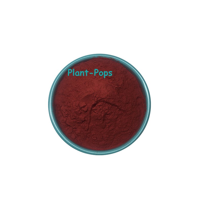 100g-500g Ganoderma Lucidum Polysaccharides 50% High Content Powder