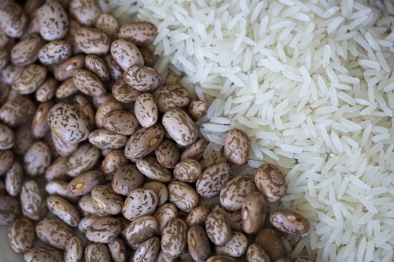 Pinto Bean Seeds gallery