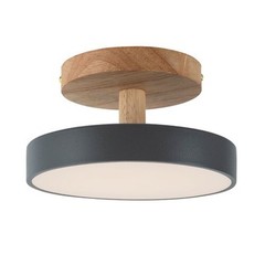4.72 In Led Ceiling Light Adjustable Color & Brightness Ceiling Light Fixtures