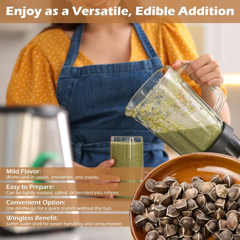 400 Moringa Oleifera Seeds 2 oz. (2 Pack) WINGLESS Fresh Semillas de Moringa gallery