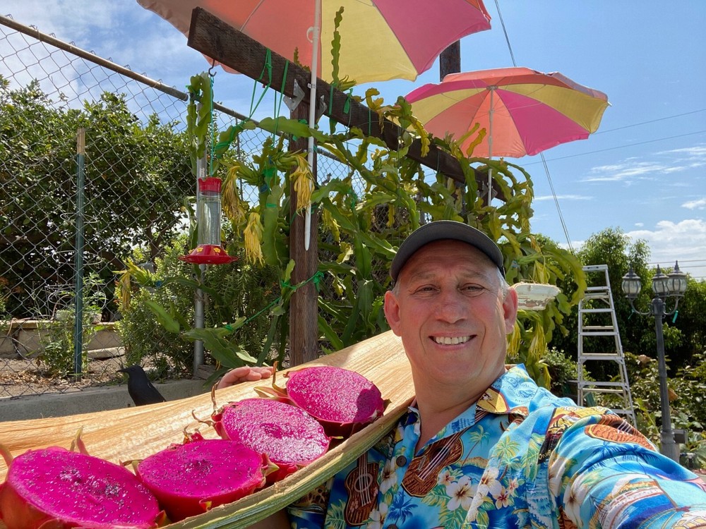 Best Dragon Fruit Cuttings 24-36”, each cutting and FREE SOLAR gopher repellent.