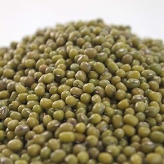 16 oz Mung Bean