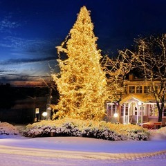 100-800 LED Twinkle Fairy String Lights Christmas Tree Wedding Patio Xmas Decor