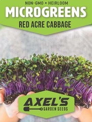 Red Acre Cabbage MICROGREEN Seeds | Heirloom | Non-GMO | Seeds for Sprouting