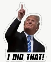100PCS Trump I Did that Stickers, 2 Inch Waterproof Vinyl Decals Funny Bumper St