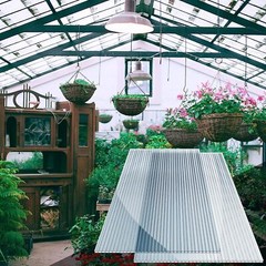 12pcs Polycarbonate Greenhouse Panel 45×24» Twin-Wall Sheet 0.16 Thick Durable
