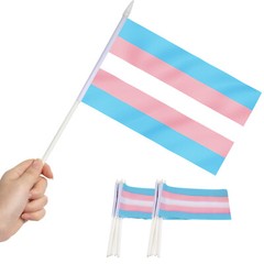 Anley 12 Pack Transgender Stick Flag 5×8 inch HandHeld Mini Flag
