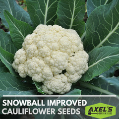 Snowball Improved Cauliflower Seeds | Non-GMO | Heirloom | Fresh Garden Seeds