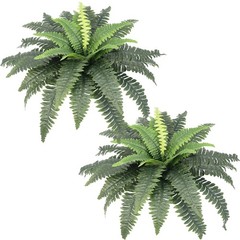 Artificial Ferns for Outdoors, Set of 2 Bouquets 33″ Diam Large Fake Ferns Faux