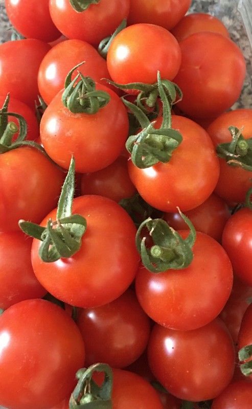 100+ Organic Red Sweetie Cherry Tomato Seeds (Lycopersicon) Fruit Vegetable USA