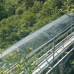 Clear Polycarbonate Roofing Sheet, Plastic UV Resistant Greenhouse Shed Canopy,