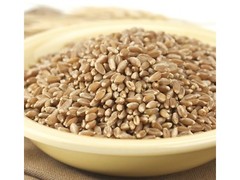 BRONZE CHIEF 5 lb WHEAT BERRIES Kernels Hard Red Spring Whole Grain Montana BULK