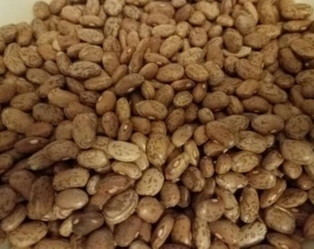 Premium Pinto Beans grown to organic standards. Triple Cleaned by Hand