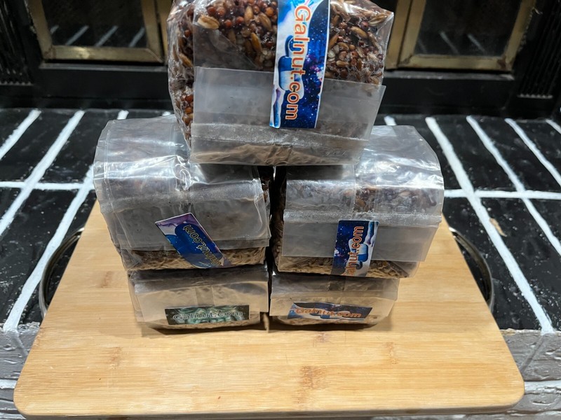 Premium 5-Pack 1lb Each Mushroom Spawn Bags | Sterilized Grain + Injection Port