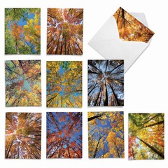 10 Assorted All Occasion Blank Note Cards with Envelopes – OVER THE TOP M2006
